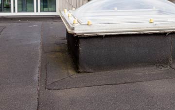 disadvantages of Penny Hill flat roofs